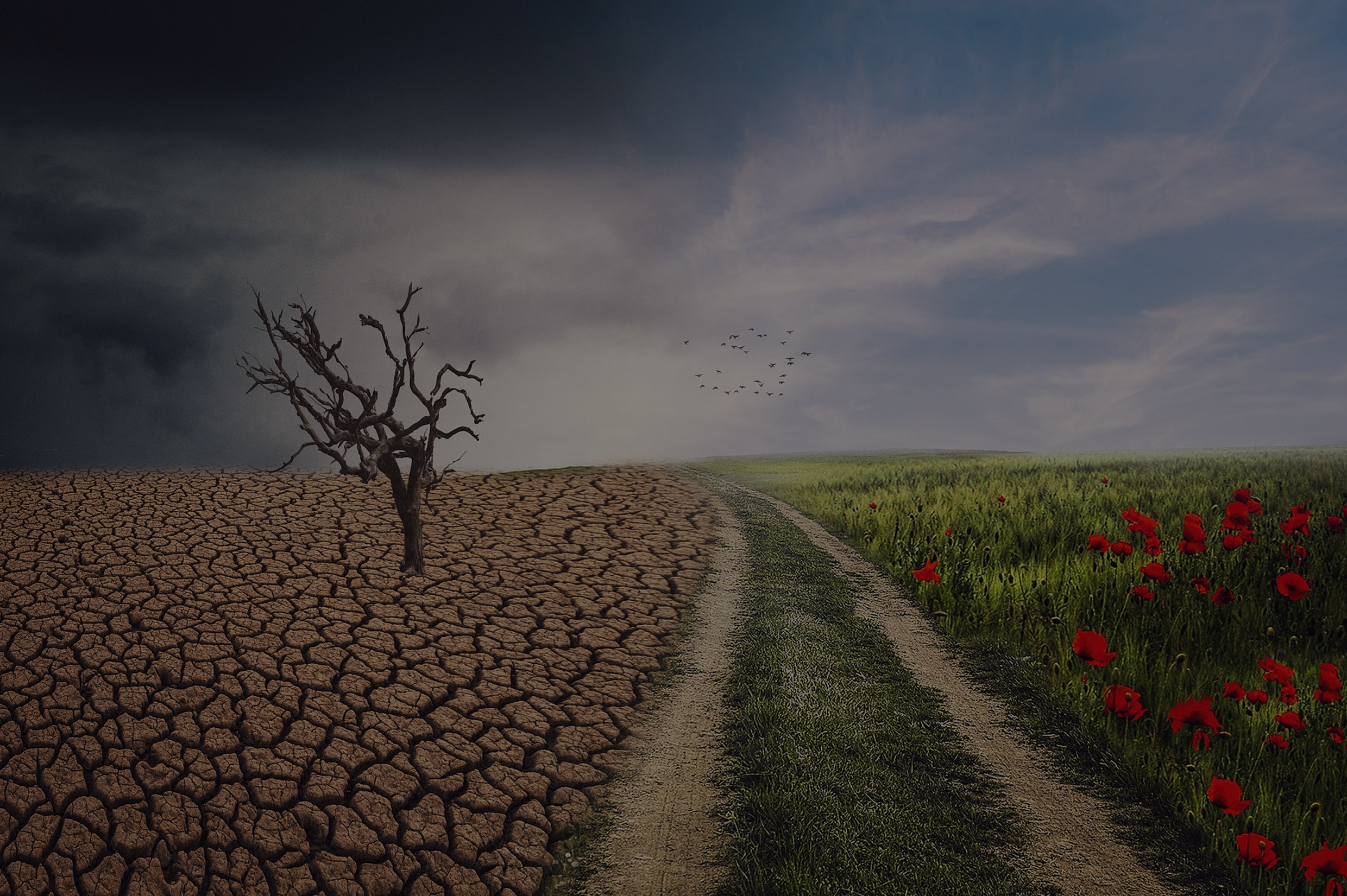parallax background
